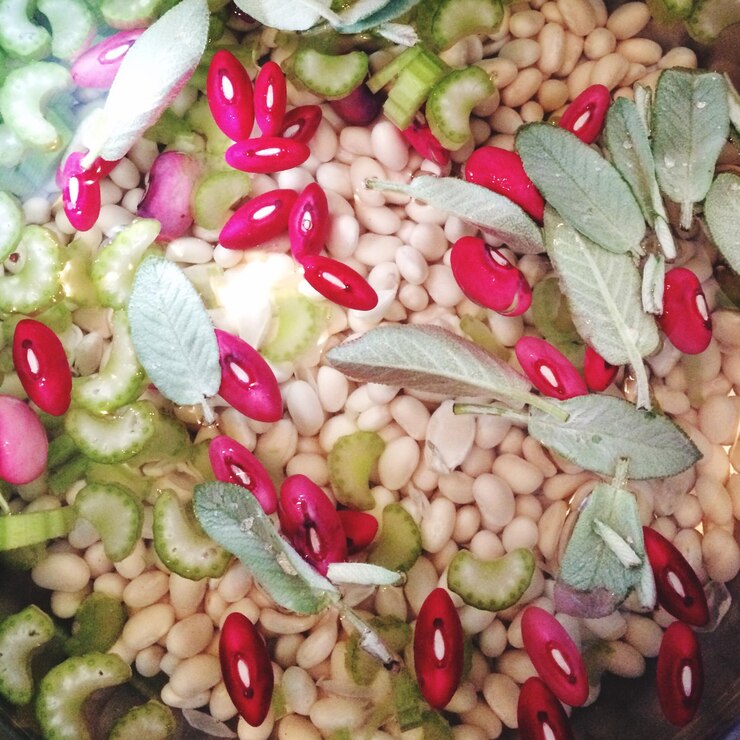 Photo capture complète des légumes