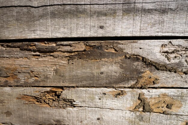 Photo capture complète d'un mur en bois altéré