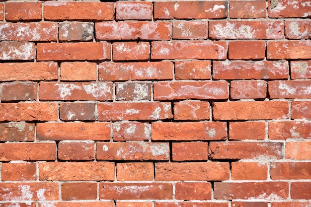 Capture complète d'un mur de briques