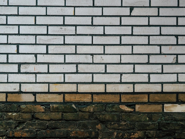Capture complète d'un mur de briques