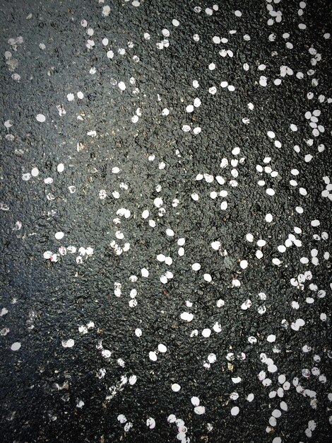 Photo capture complète des pétales et de l'eau pendant la saison des pluies