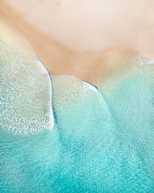 Capture complète d'une piscine