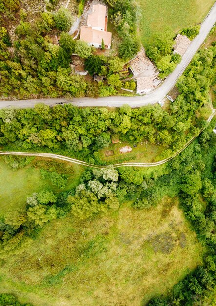 Photo capture complète des plantes dans le jardin