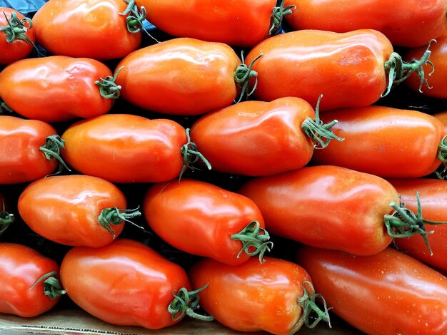 Photo capture complète de tomates à plomb