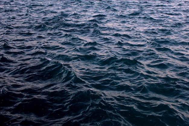 Capture complète des vagues de la mer