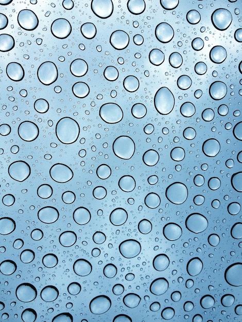 Capture complète d'un verre mouillé pendant la saison des pluies