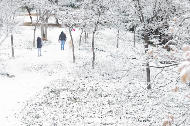 Capture horizontale d'une promenade familiale après une chute de neige.