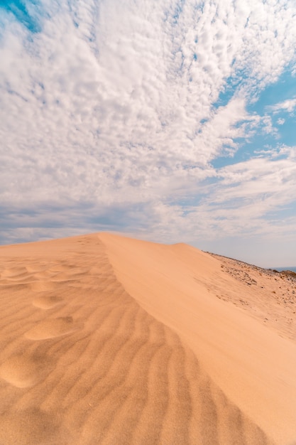 Capture verticale de la plage de Monsul en Andalousie. Espagne, Mer Méditerranée