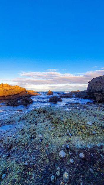 Capture verticale d'une plage rocheuse et d'un paysage marin avec un bel horizon