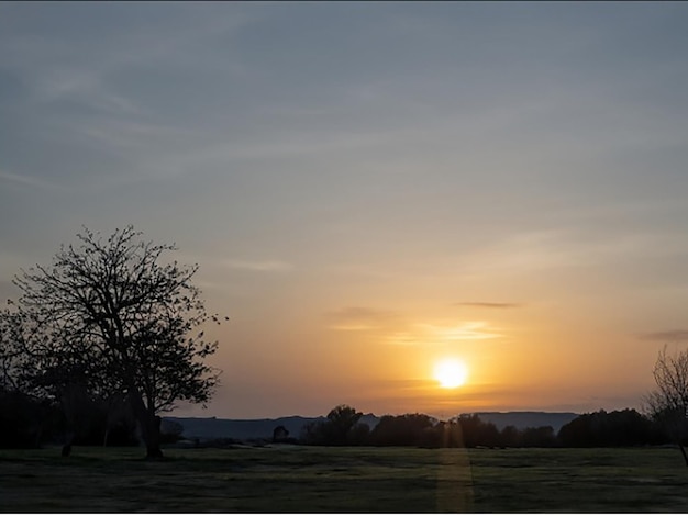 Capturez le moment où le soleil plonge sous l'horizon, projetant de longues ombres