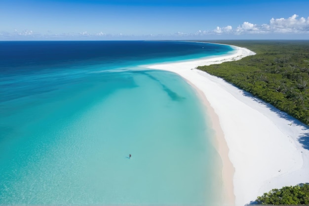 Capturez une vue aérienne de la côte montrant des eaux aquamarines