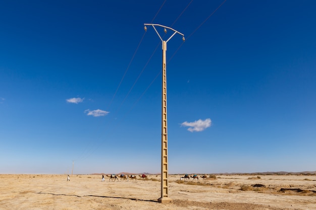 Caravane de chameaux et la ligne de transmission