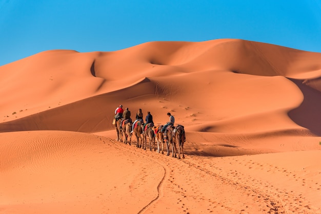 Photo caravane marchant dans le désert du sahara merzouga sur le maroc