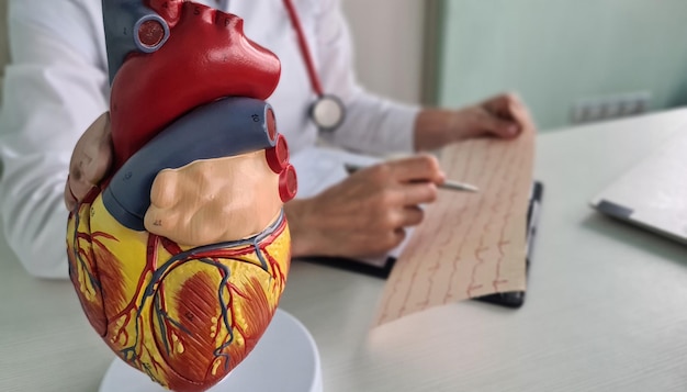 Le cardiologue étudie les symptômes de l'analyse électrocardiographique et pose le diagnostic