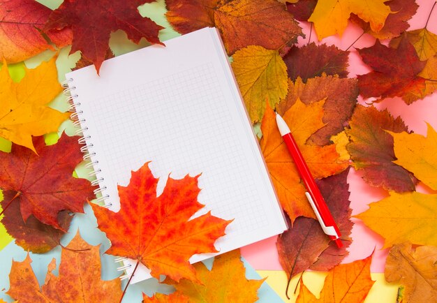 Carnet sur la table d'automne