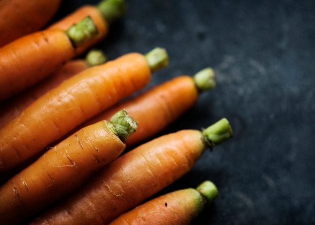 Photo carotte bio fraîche de la ferme