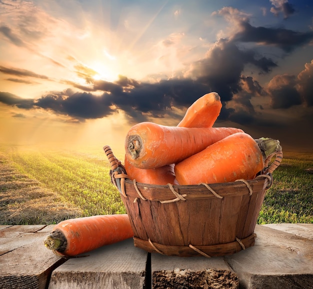 Carotte dans un panier sur table et paysage