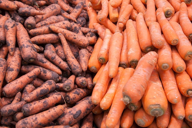 Carotte sur le marché