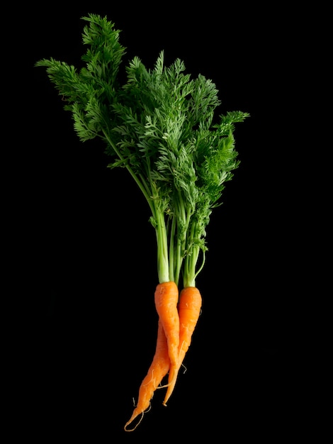 La carotte nourrit les cellules de la peau