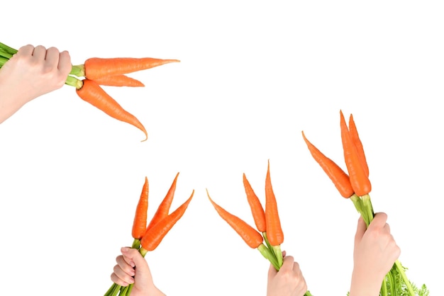 Carotte orange fraîche dans les mains de la femme sur un fond blanc