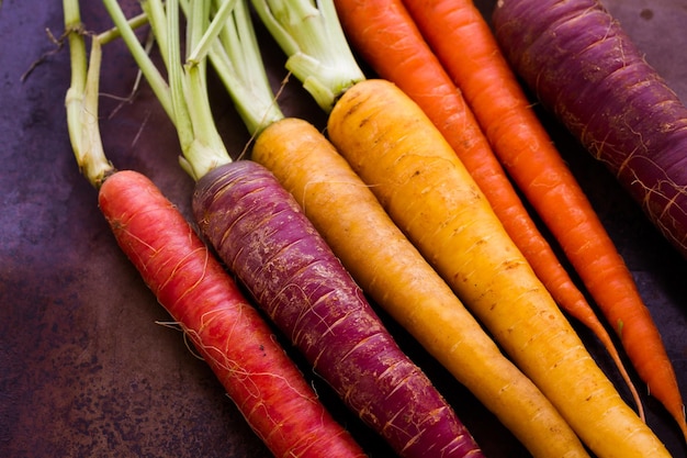 Carottes arc-en-ciel biologiques de la ferme locale.