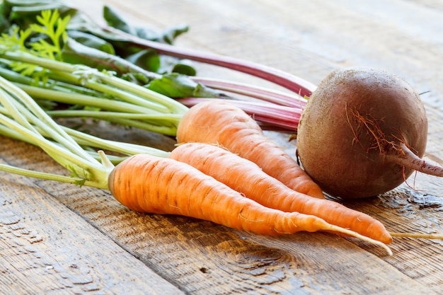 Carottes et betteraves juste cueillies au jardin sur des planches de bois. Juste des carottes et betteraves fraîches récoltées