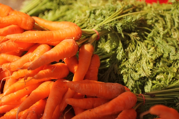 carottes biologiques dans la lumière du soleil