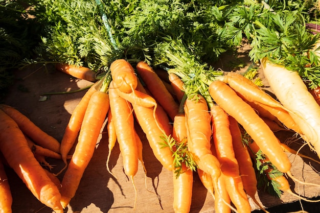 Carottes biologiques fraîches sur un marché de producteurs locaux