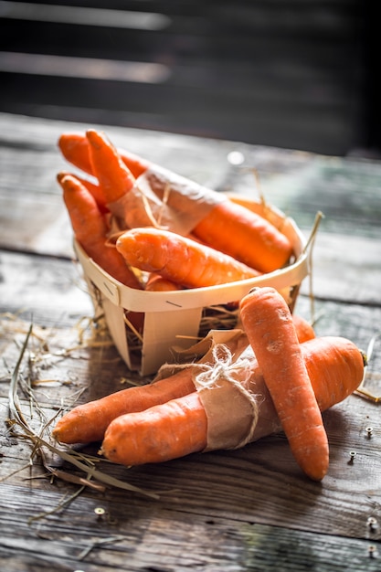 Carottes biologiques fraîches