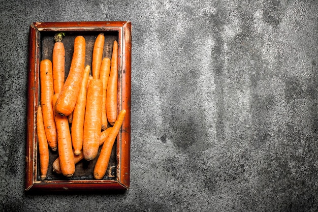 Carottes biologiques sur table rustique.