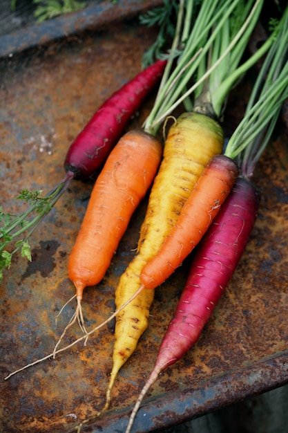 Carottes colorées juteuses sur un métal rouillé