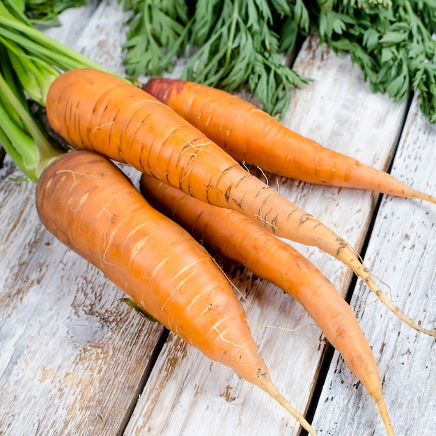 Carottes entières fraîchement lavées avec des feuilles