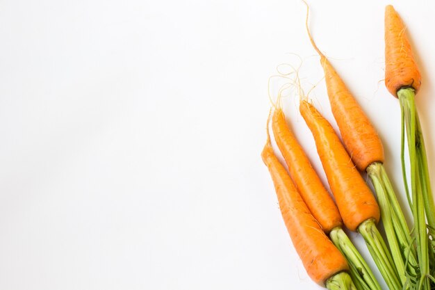 Carottes sur fond blanc. Vue de dessus