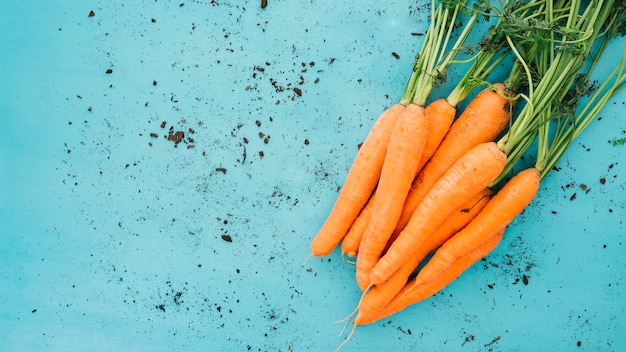 Carottes sur fond sale