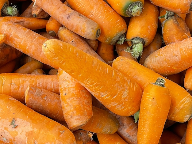 Carottes De Fond Sur La Vitrine Se Bouchent