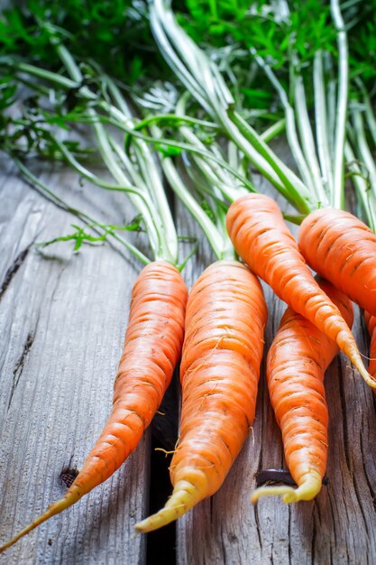 Carottes fraîches sur un bois