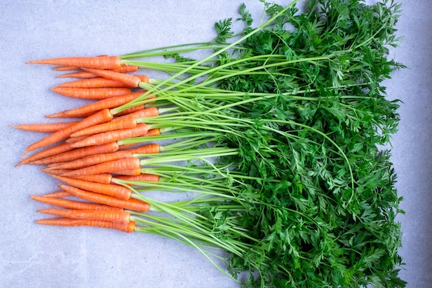 Photo carottes fraîches avec des feuilles du marché fermier