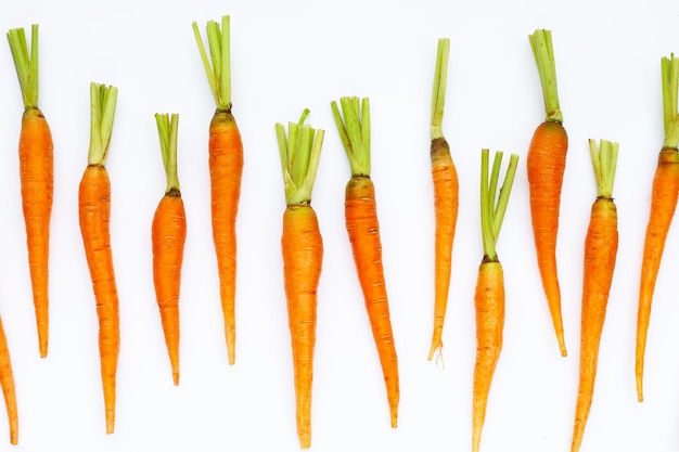 Des carottes fraîches sur fond blanc