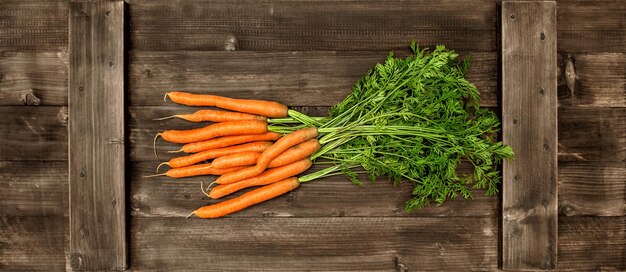 Les carottes fraîches mûrissent avec des feuilles vertes