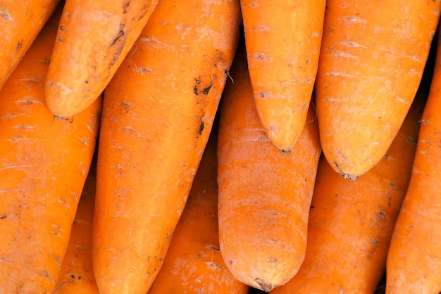 Carottes sur le marché