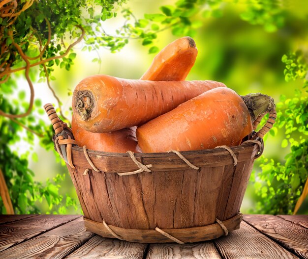 Carottes sur la table