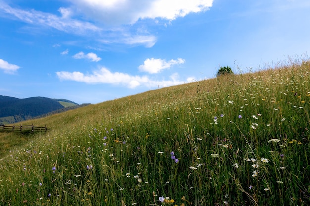 Les Carpates en été