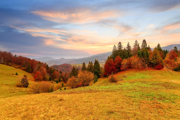 Carpates Ukraine Coucher de soleil dans le ciel nuageux sur le lac de la forêt d'automne Vue depuis l'image au niveau de la rive dans la teinte orangejaune