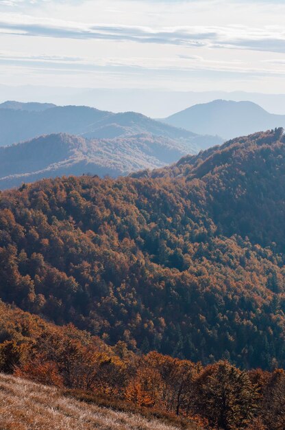 Carpathians Highland avec des montagnes forestières géantes et des collines herbeuses