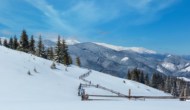 Les Carpathiens enneigés en hiver Ukraine