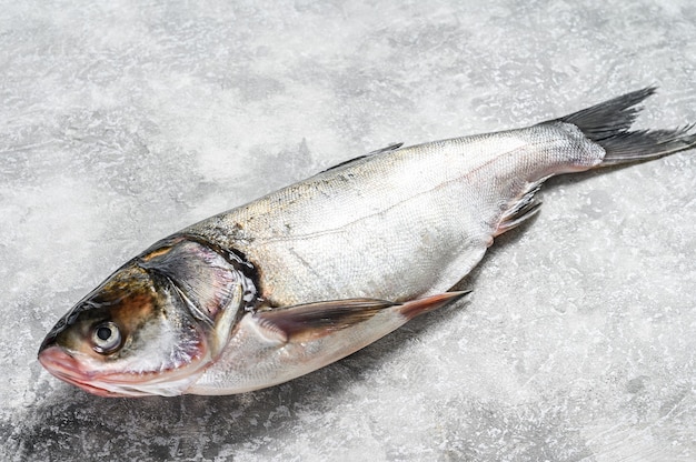 Carpe argentée de poisson entier cru