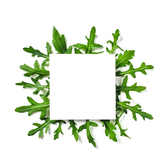 Un carré de papier blanc sur des feuilles de roquette