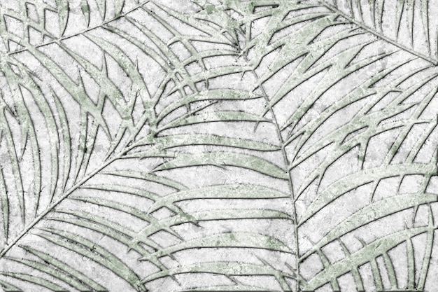 Photo carreaux de pierre décoratifs avec motif de feuilles tropicales et texture de marbre naturel. élément de design. texture de fond