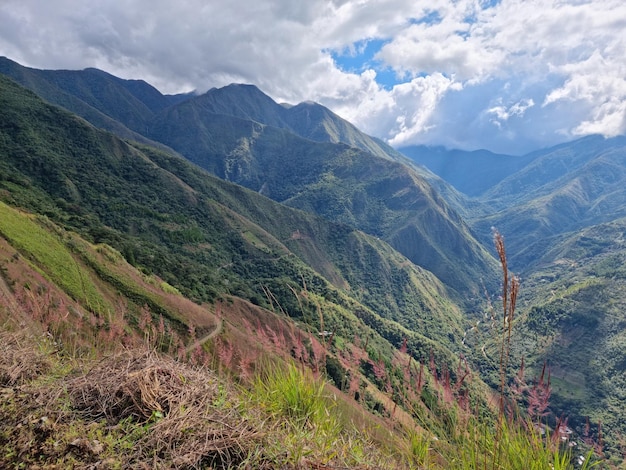 Photo carretera rustica en medio de la selva paisaje de cusco pérou