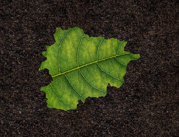 Carte d'Andorre faite de feuilles vertes sur le concept d'écologie de fond de sol